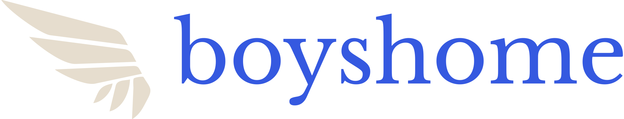 boyshome logo